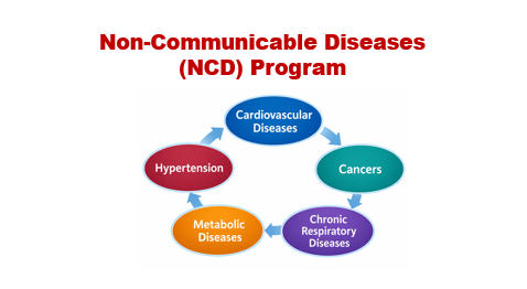 Non-Communicable Diseases (NCD) Program